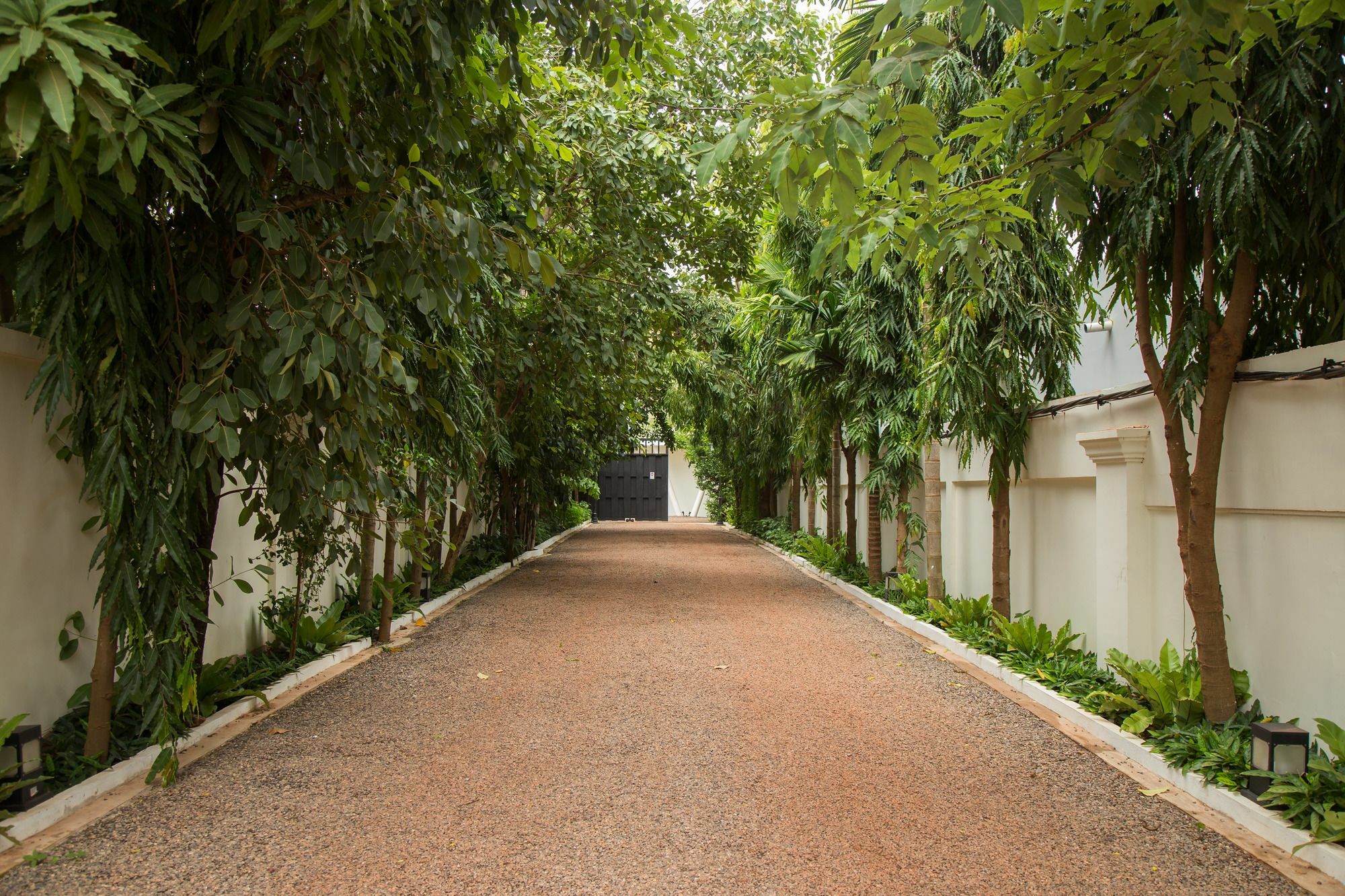 The Embassy Angkor Resort & Spa Σιέμ Ρέαπ Εξωτερικό φωτογραφία